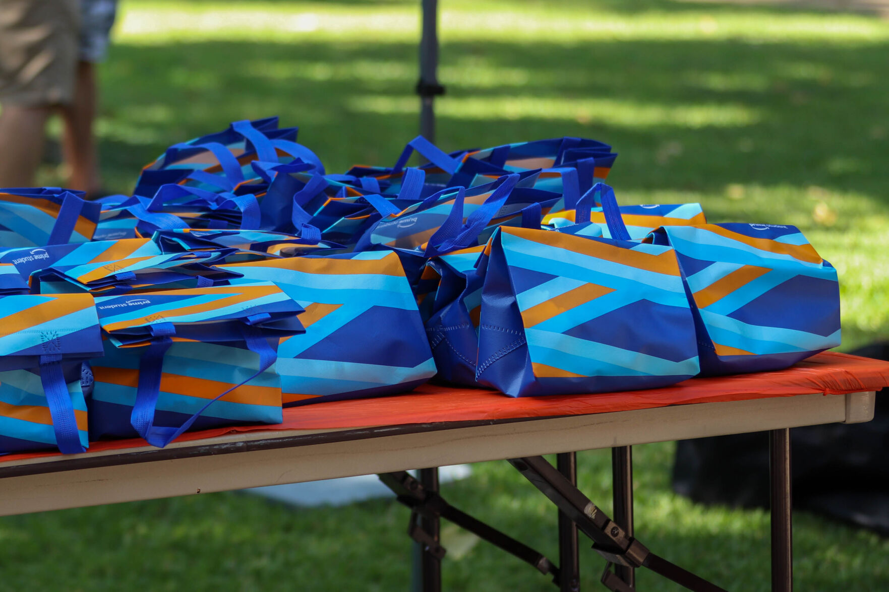 Photos: UTA Activity Fair Day celebrates 40th anniversary, connects students with resources
